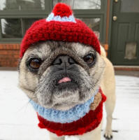 Visit The Barkclava Gallery