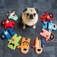 Visit The Bummlie Gallery