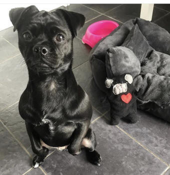 Phot courtesy of Zoe M., UK