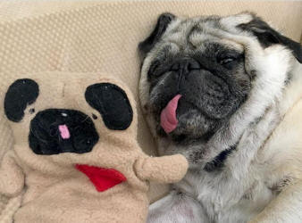 Photo courtesy of Jan B., CA