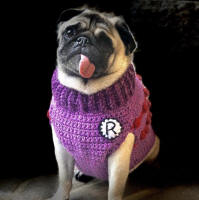 Visit The Sweater Vest Gallery