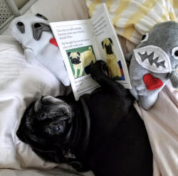 Photo courtesy of Gina F., ME