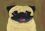 Pug Design A43
