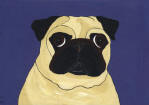 Pug Design A44
