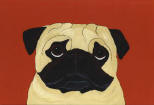 Pug Design A41
