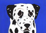 Dalmatian