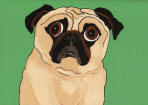 (A89) - Fawn Pug w/ Green bkg