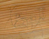 Sketch on wood of Pug Design A58