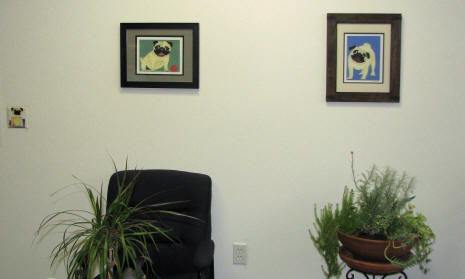 Photo Courtesy of Diane T., Boise,  ID